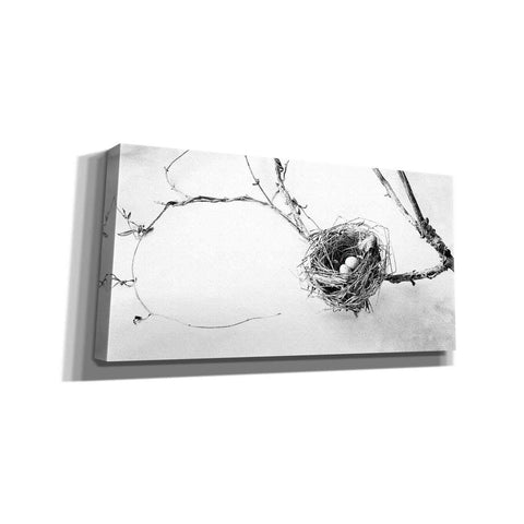 Image of 'Nest and Branch III' by Debra Van Swearingen, Canvas Wall Art,24x12x1.1x0,40x20x1.74x0,60x30x1.74x0