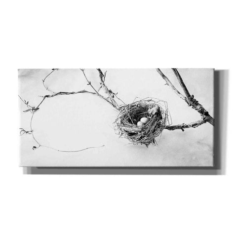 Image of 'Nest and Branch III' by Debra Van Swearingen, Canvas Wall Art,24x12x1.1x0,40x20x1.74x0,60x30x1.74x0
