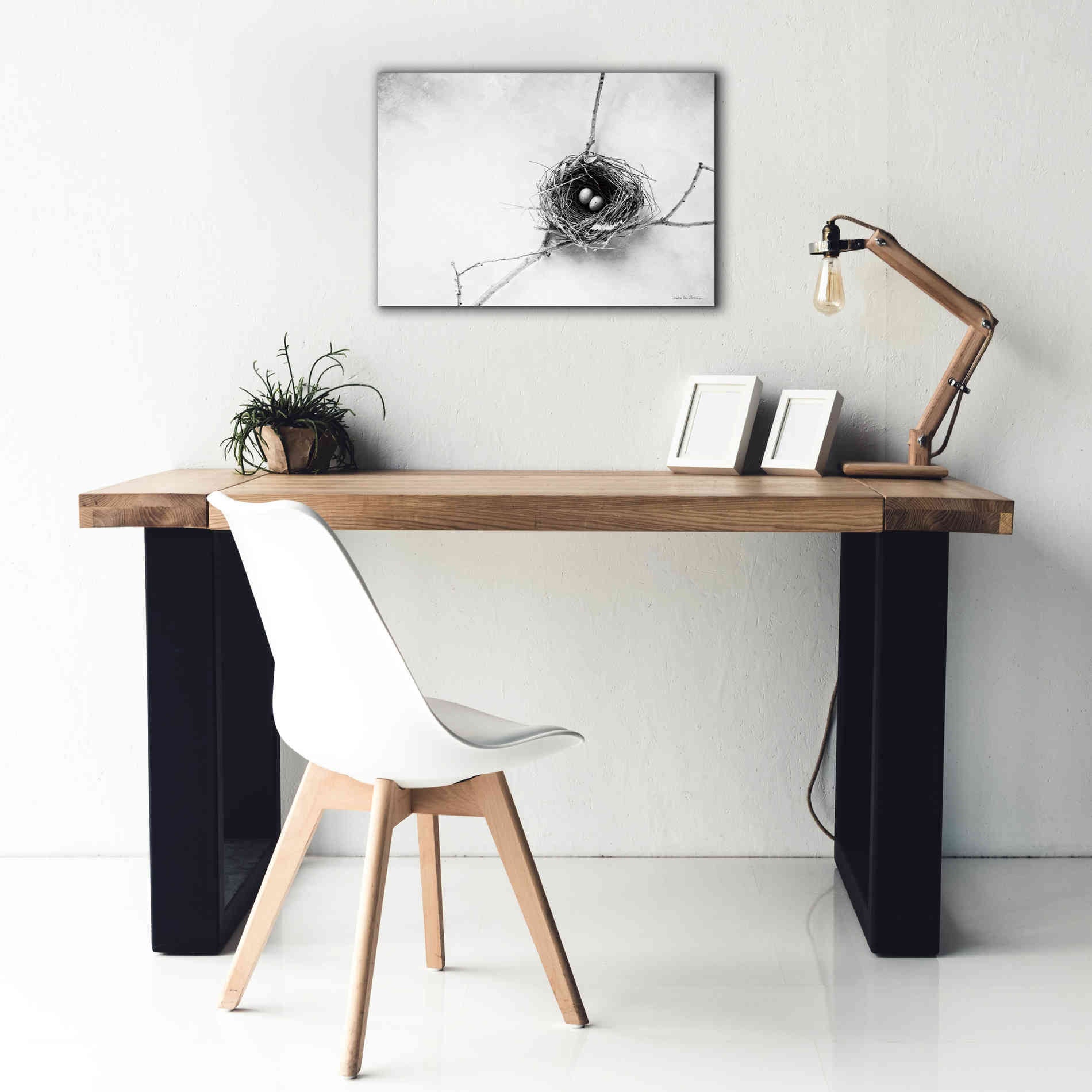 'Nest and Branch IV' by Debra Van Swearingen, Canvas Wall Art,26 x 18