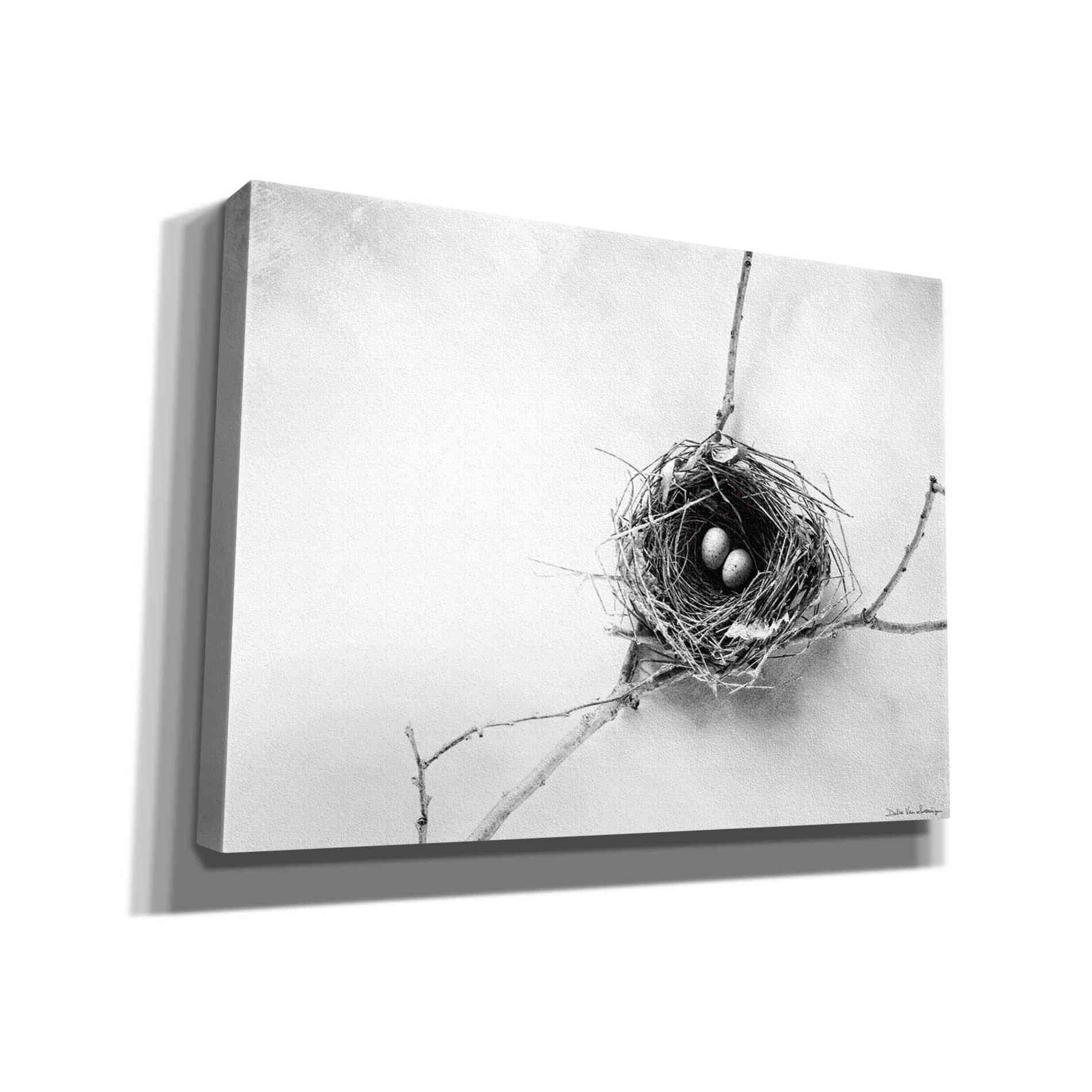 'Nest and Branch IV' by Debra Van Swearingen, Canvas Wall Art,16x12x1.1x0,26x18x1.1x0,34x26x1.74x0,54x40x1.74x0