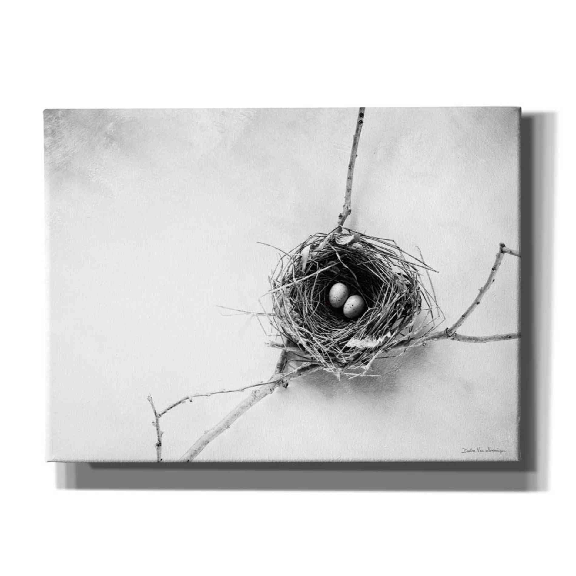 'Nest and Branch IV' by Debra Van Swearingen, Canvas Wall Art,16x12x1.1x0,26x18x1.1x0,34x26x1.74x0,54x40x1.74x0