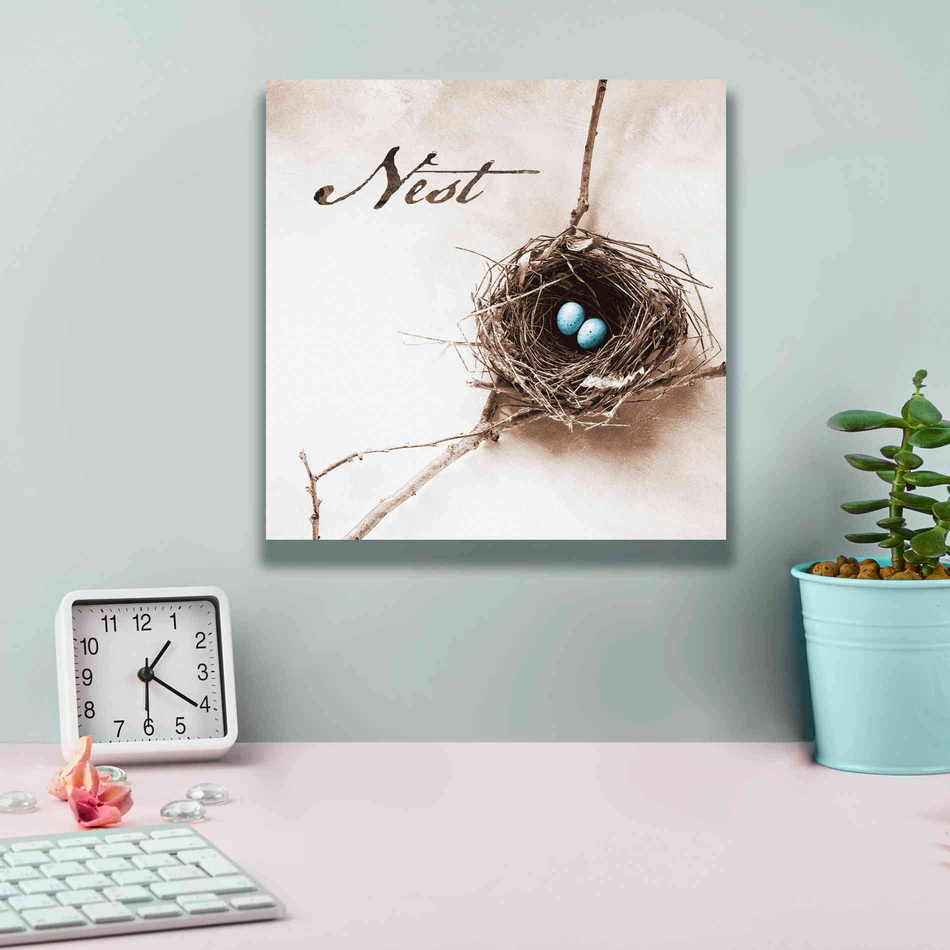 'Nest and Branch IV - Nest' by Debra Van Swearingen, Canvas Wall Art,12 x 12
