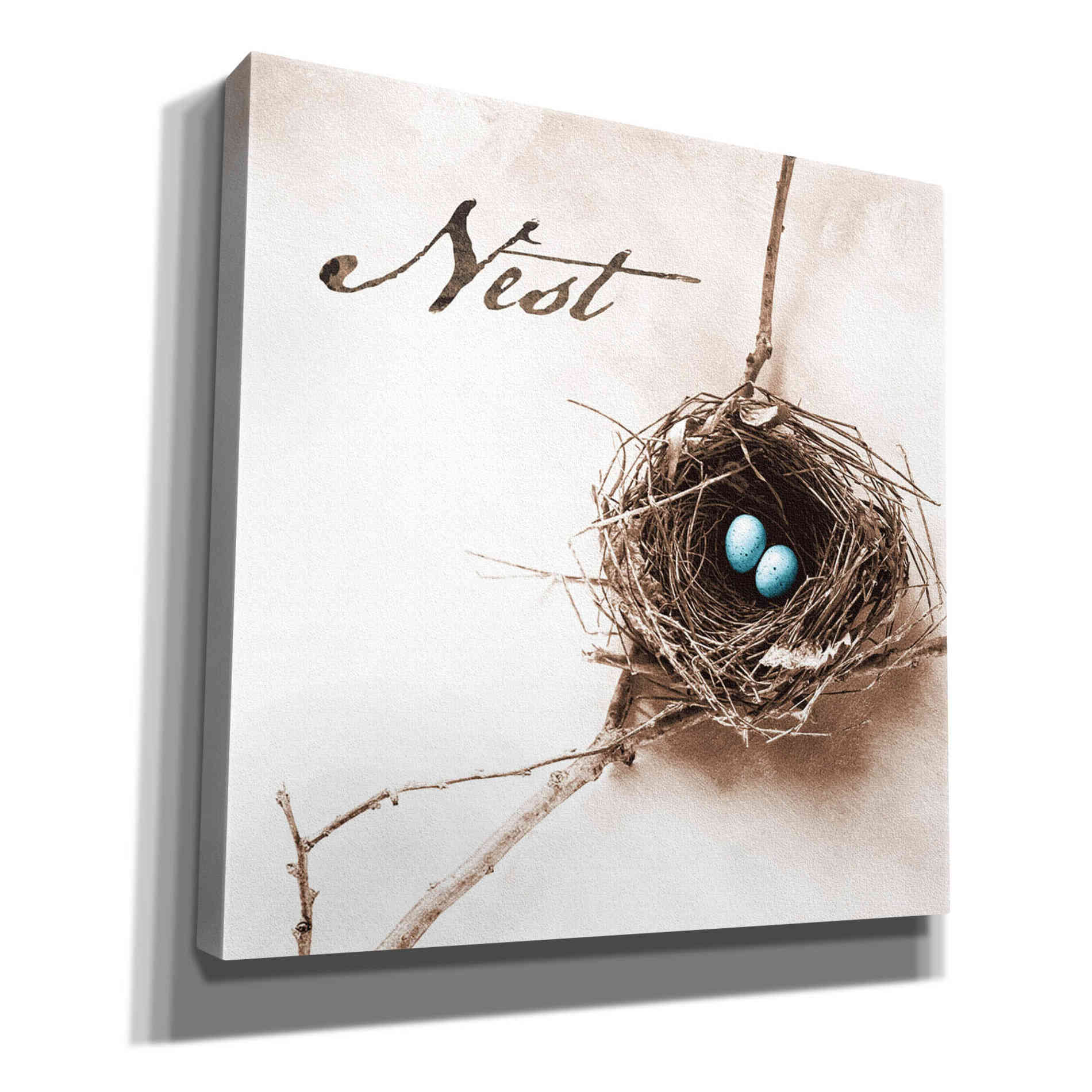 'Nest and Branch IV - Nest' by Debra Van Swearingen, Canvas Wall Art,12x12x1.1x0,18x18x1.1x0,26x26x1.74x0,37x37x1.74x0