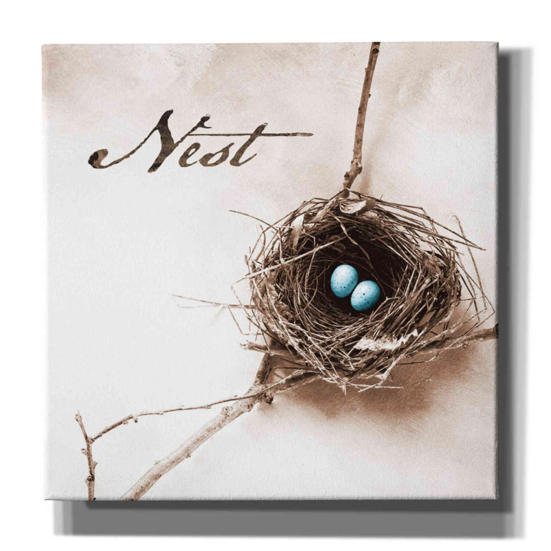 'Nest and Branch IV - Nest' by Debra Van Swearingen, Canvas Wall Art,12x12x1.1x0,18x18x1.1x0,26x26x1.74x0,37x37x1.74x0