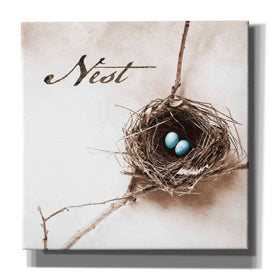 'Nest and Branch IV - Nest' by Debra Van Swearingen, Canvas Wall Art,12x12x1.1x0,18x18x1.1x0,26x26x1.74x0,37x37x1.74x0