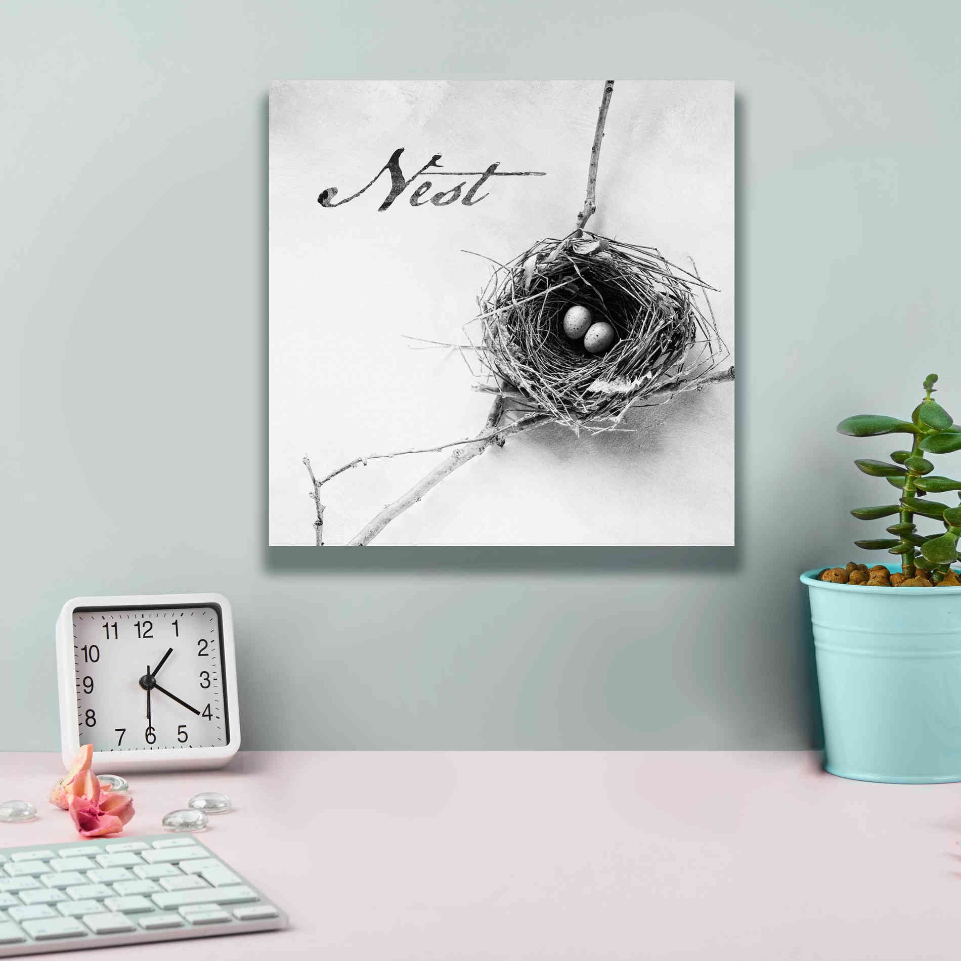 'Nest and Branch IV - Nest B&W' by Debra Van Swearingen, Canvas Wall Art,12 x 12