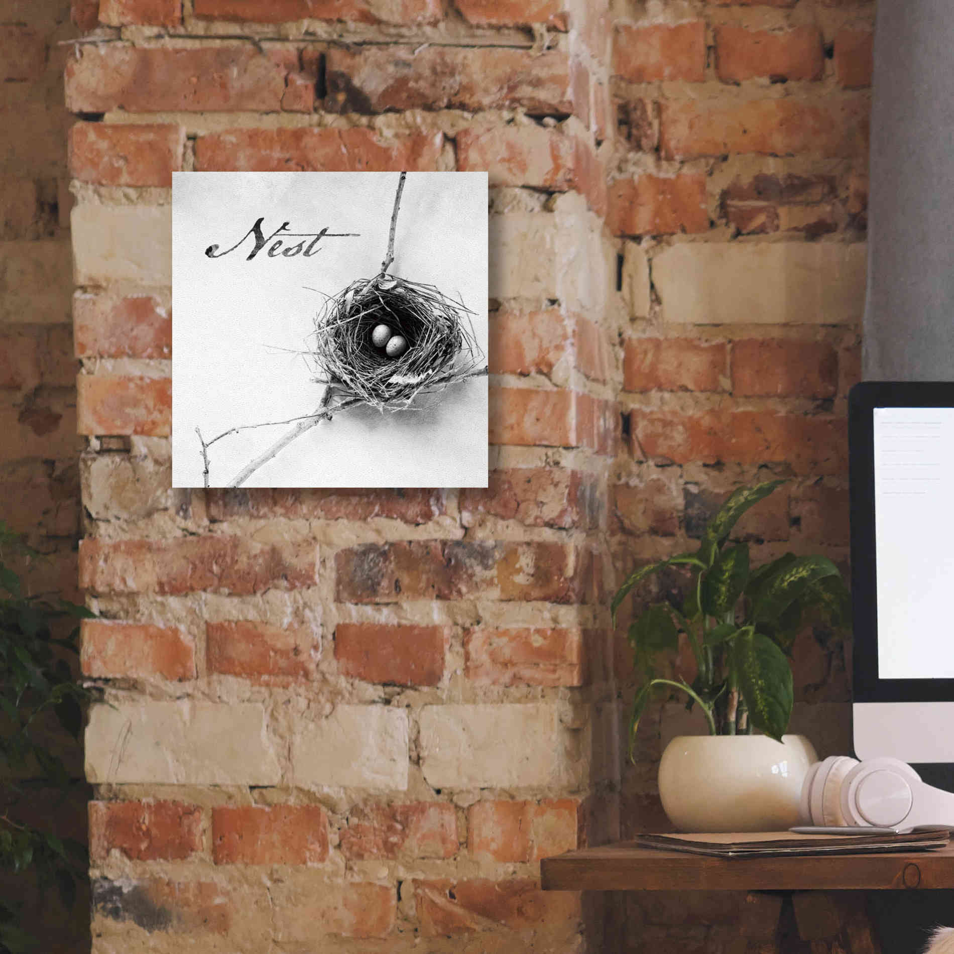 'Nest and Branch IV - Nest B&W' by Debra Van Swearingen, Canvas Wall Art,12 x 12