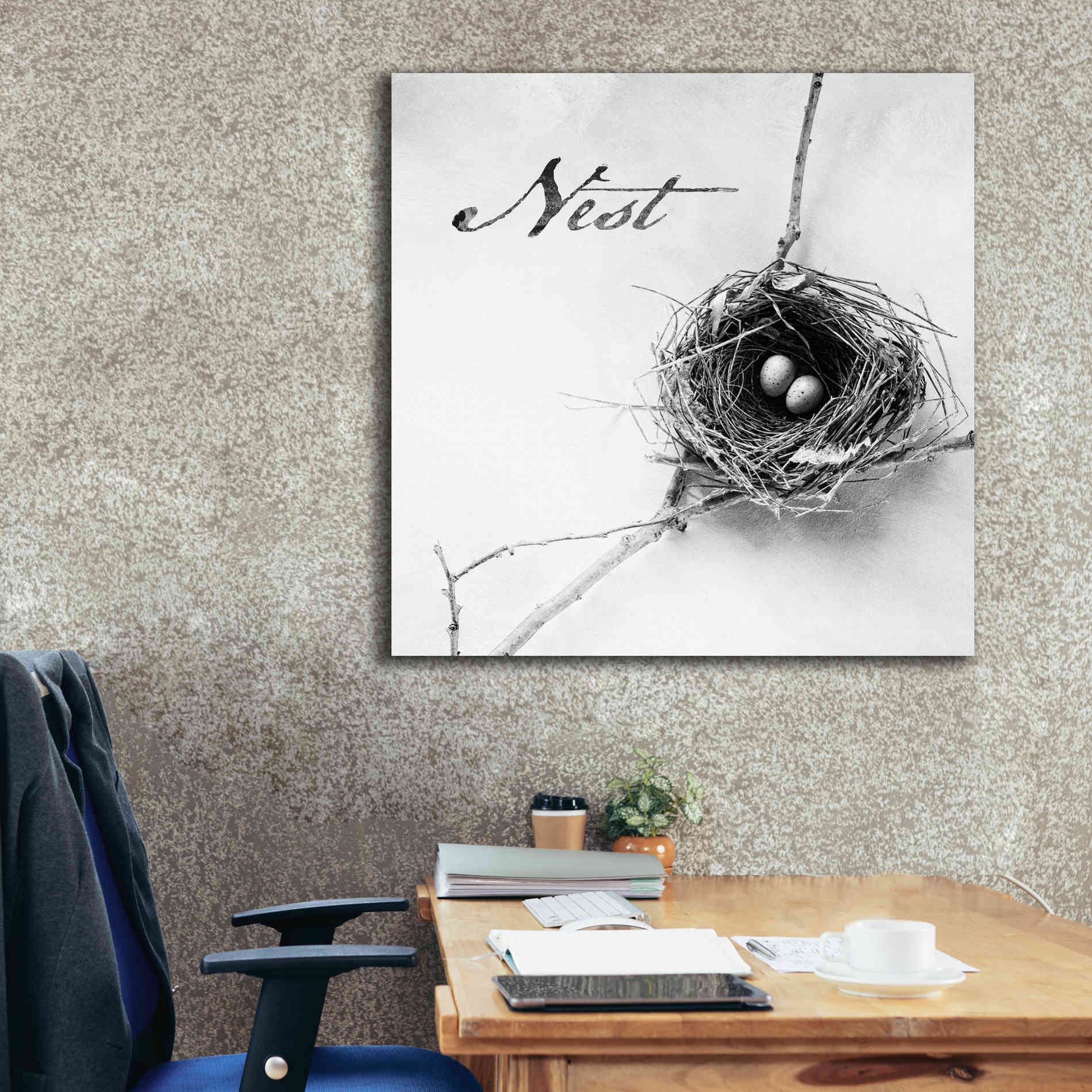 'Nest and Branch IV - Nest B&W' by Debra Van Swearingen, Canvas Wall Art,37 x 37