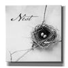 'Nest and Branch IV - Nest B&W' by Debra Van Swearingen, Canvas Wall Art,12x12x1.1x0,18x18x1.1x0,26x26x1.74x0,37x37x1.74x0