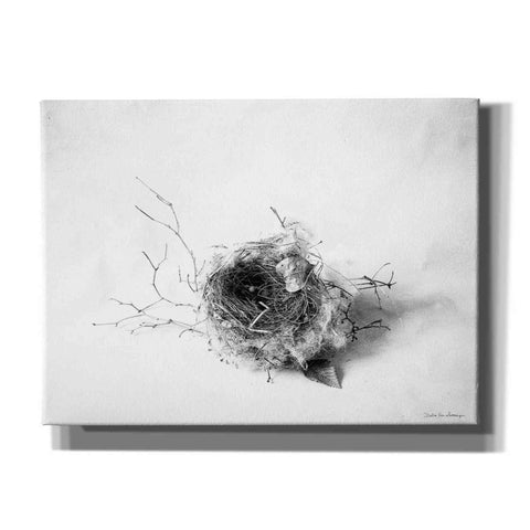 Image of 'Nestled III' by Debra Van Swearingen, Canvas Wall Art,16x12x1.1x0,26x18x1.1x0,34x26x1.74x0,54x40x1.74x0