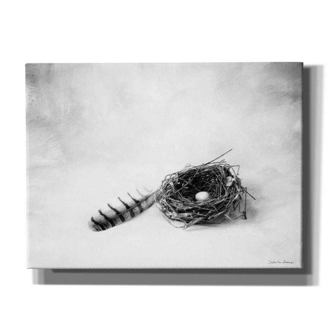Image of 'Nestled IV' by Debra Van Swearingen, Canvas Wall Art,16x12x1.1x0,26x18x1.1x0,34x26x1.74x0,54x40x1.74x0