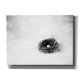 'Nestled V' by Debra Van Swearingen, Canvas Wall Art,16x12x1.1x0,26x18x1.1x0,34x26x1.74x0,54x40x1.74x0