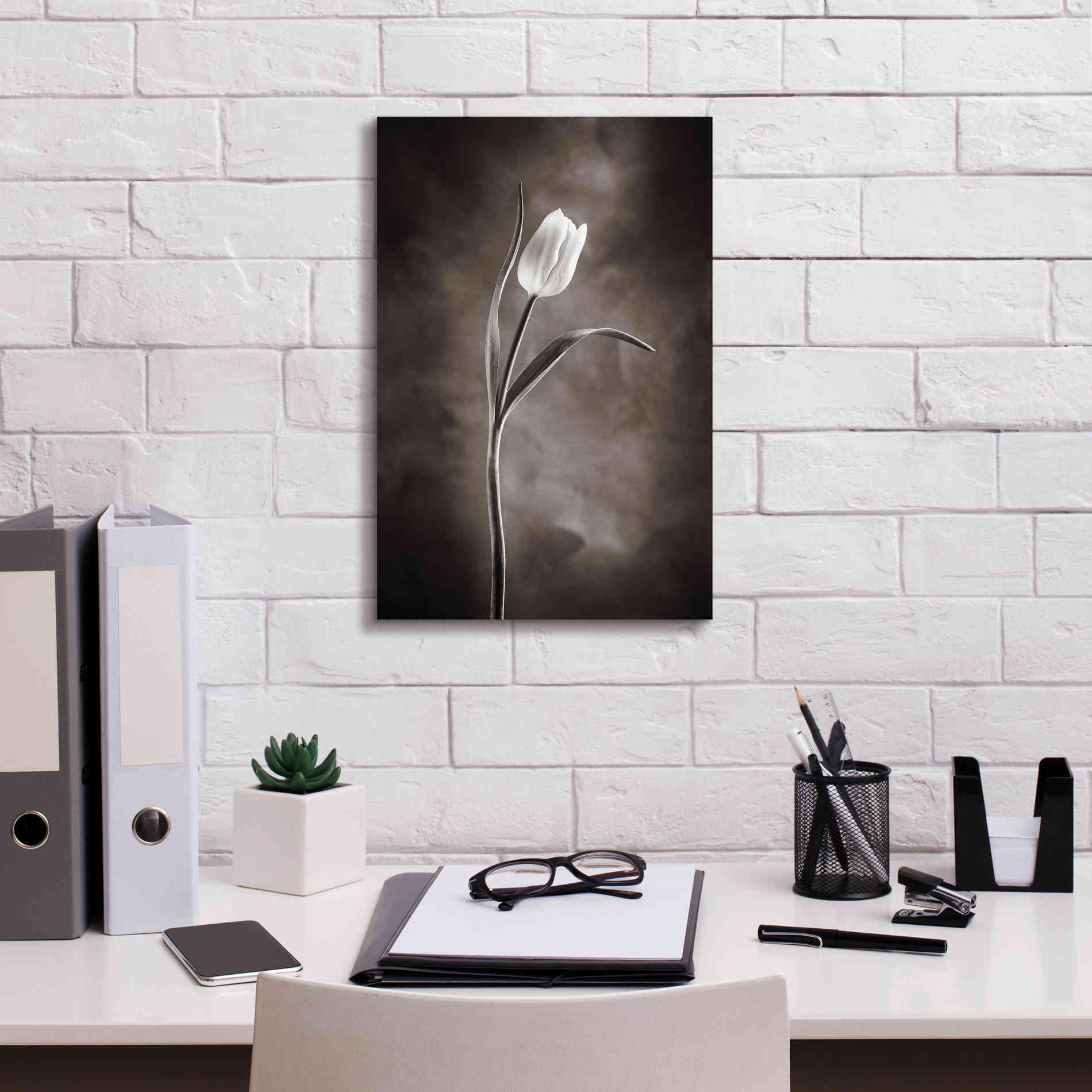 'Two Tone Tulips I' by Debra Van Swearingen, Canvas Wall Art,12 x 18