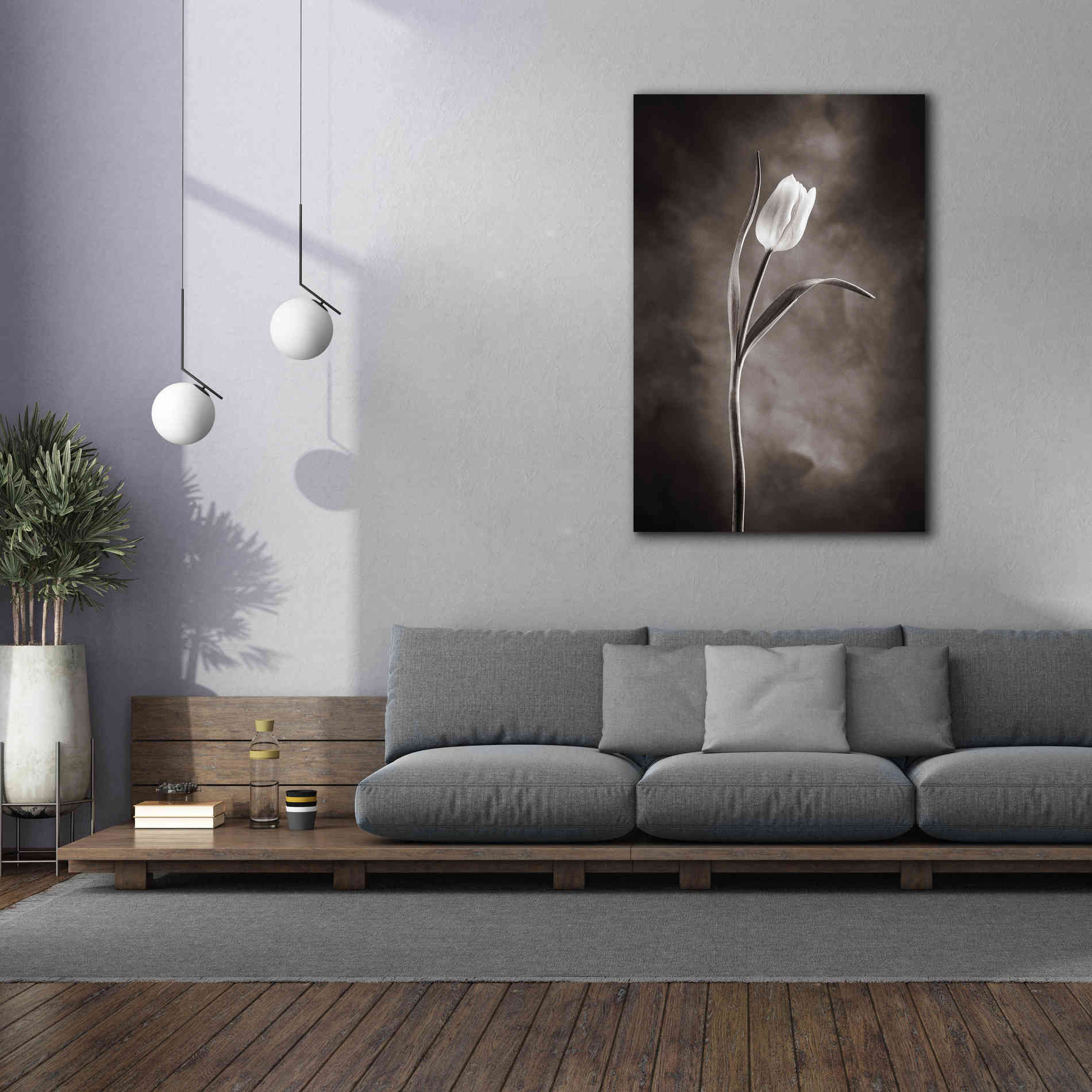 'Two Tone Tulips I' by Debra Van Swearingen, Canvas Wall Art,40 x 60