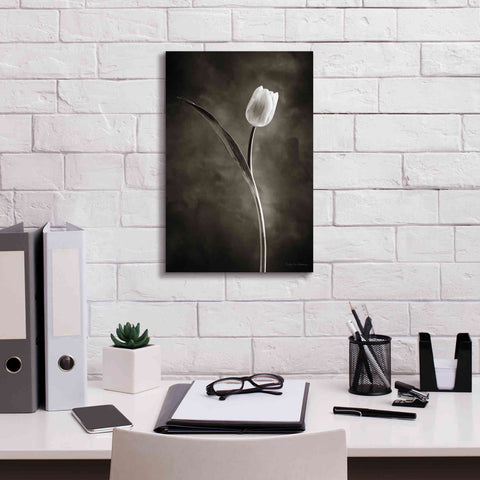 Image of 'Two Tone Tulips II' by Debra Van Swearingen, Canvas Wall Art,12 x 18