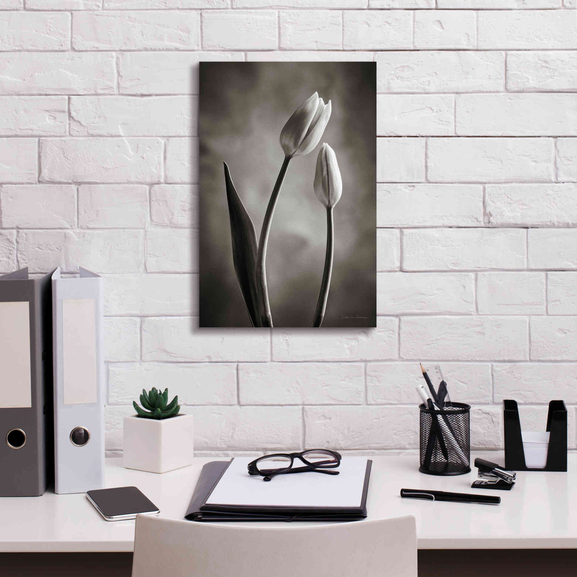 'Two Tone Tulips III' by Debra Van Swearingen, Canvas Wall Art,12 x 18