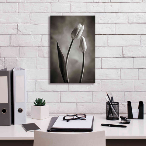 Image of 'Two Tone Tulips III' by Debra Van Swearingen, Canvas Wall Art,12 x 18