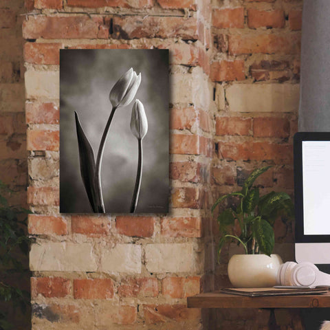 Image of 'Two Tone Tulips III' by Debra Van Swearingen, Canvas Wall Art,12 x 18