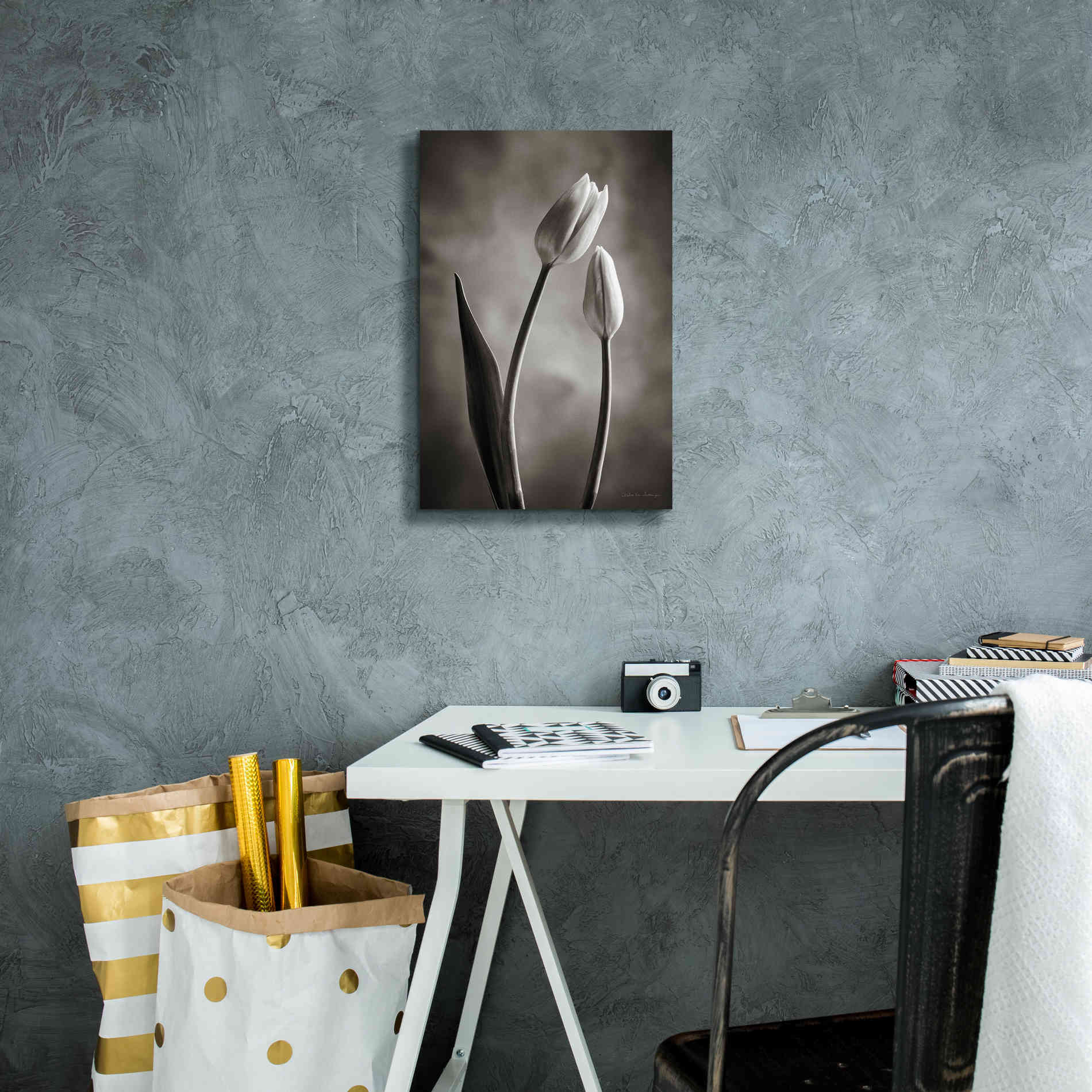 'Two Tone Tulips III' by Debra Van Swearingen, Canvas Wall Art,12 x 18