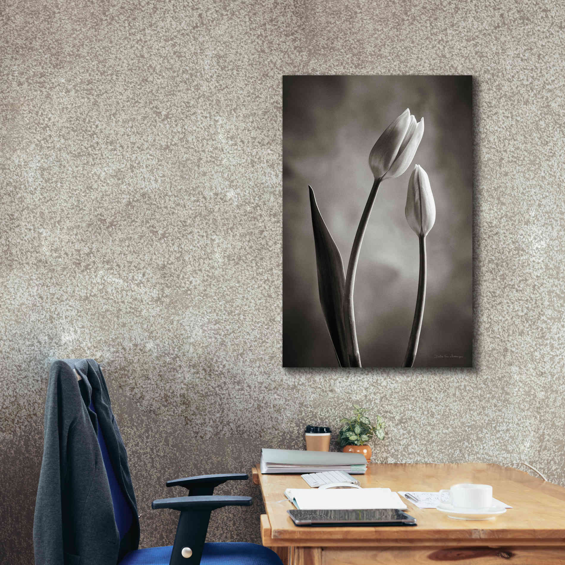 'Two Tone Tulips III' by Debra Van Swearingen, Canvas Wall Art,26 x 40