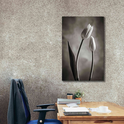 Image of 'Two Tone Tulips III' by Debra Van Swearingen, Canvas Wall Art,26 x 40