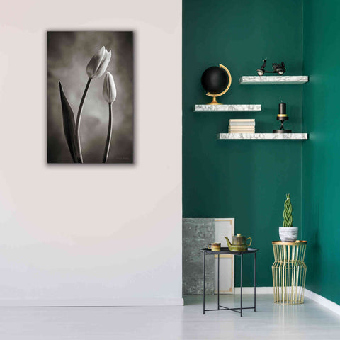 Image of 'Two Tone Tulips III' by Debra Van Swearingen, Canvas Wall Art,26 x 40