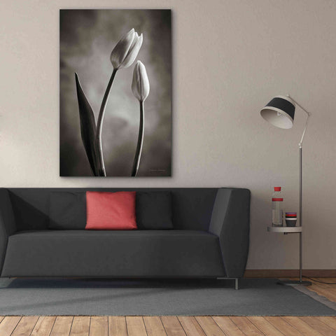 Image of 'Two Tone Tulips III' by Debra Van Swearingen, Canvas Wall Art,40 x 60
