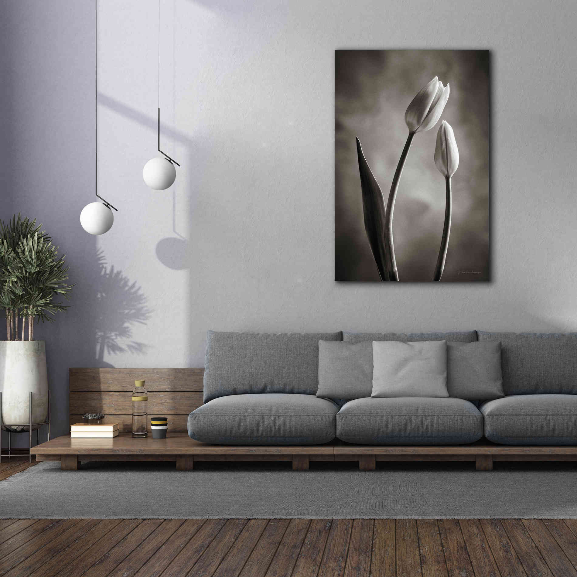 'Two Tone Tulips III' by Debra Van Swearingen, Canvas Wall Art,40 x 60