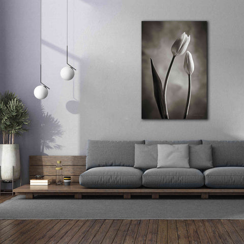 Image of 'Two Tone Tulips III' by Debra Van Swearingen, Canvas Wall Art,40 x 60