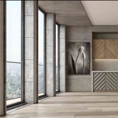 Image of 'Two Tone Tulips III' by Debra Van Swearingen, Canvas Wall Art,40 x 60