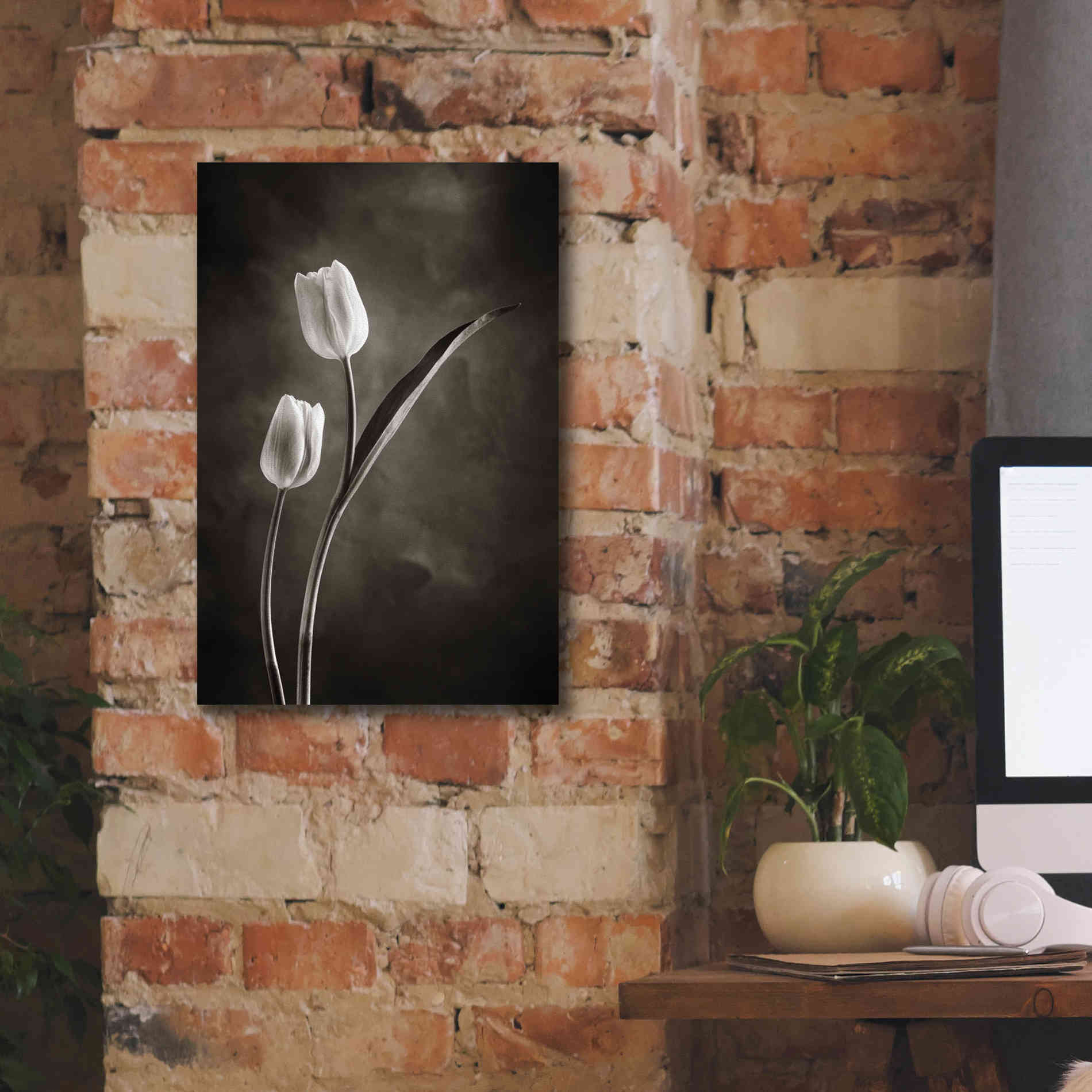 'Two Tone Tulips IV' by Debra Van Swearingen, Canvas Wall Art,12 x 18