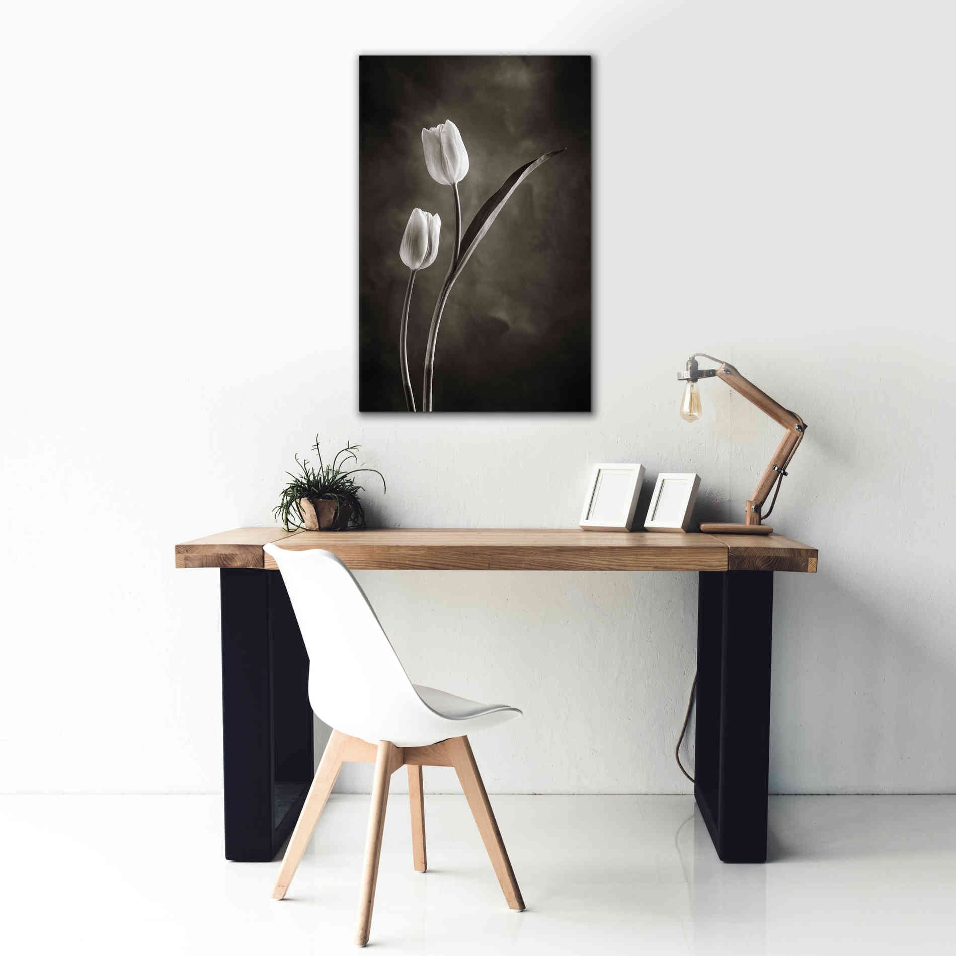 'Two Tone Tulips IV' by Debra Van Swearingen, Canvas Wall Art,26 x 40