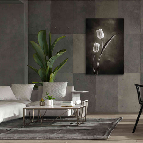 Image of 'Two Tone Tulips IV' by Debra Van Swearingen, Canvas Wall Art,40 x 60