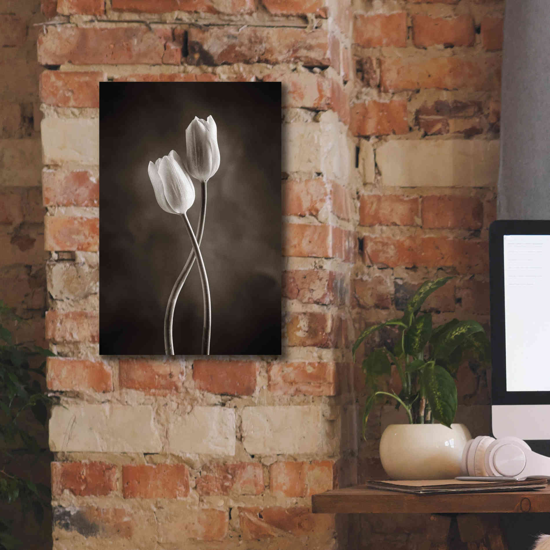 'Two Tone Tulips V' by Debra Van Swearingen, Canvas Wall Art,12 x 18