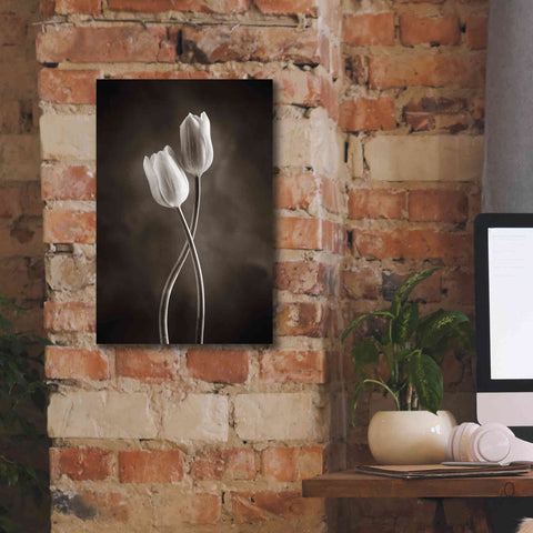 Image of 'Two Tone Tulips V' by Debra Van Swearingen, Canvas Wall Art,12 x 18