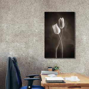 'Two Tone Tulips V' by Debra Van Swearingen, Canvas Wall Art,26 x 40