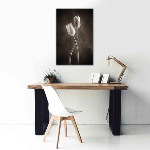 Image of 'Two Tone Tulips V' by Debra Van Swearingen, Canvas Wall Art,26 x 40
