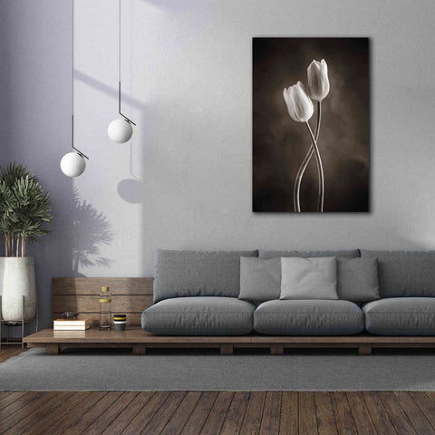 Image of 'Two Tone Tulips V' by Debra Van Swearingen, Canvas Wall Art,40 x 60