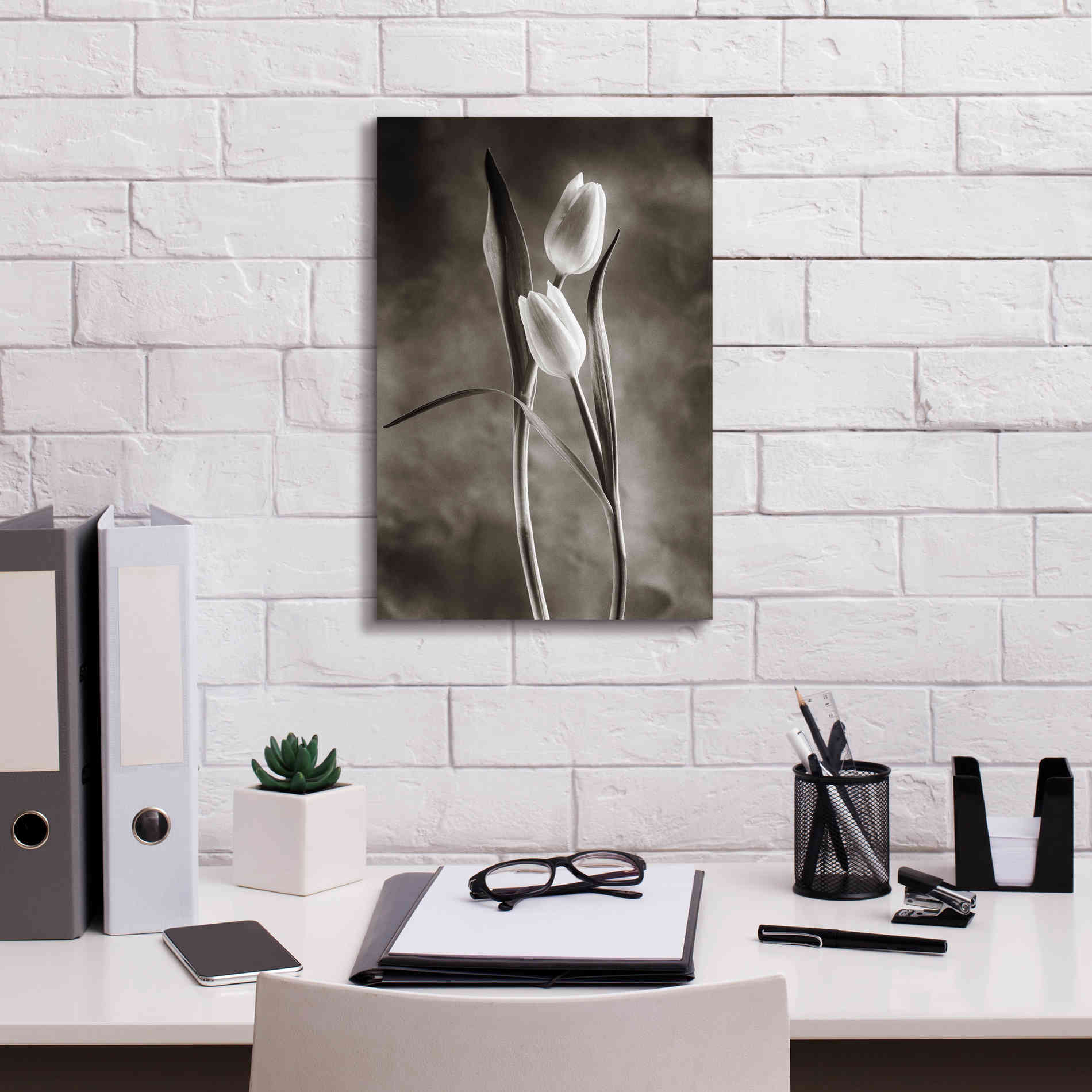 'Two Tone Tulips VI' by Debra Van Swearingen, Canvas Wall Art,12 x 18