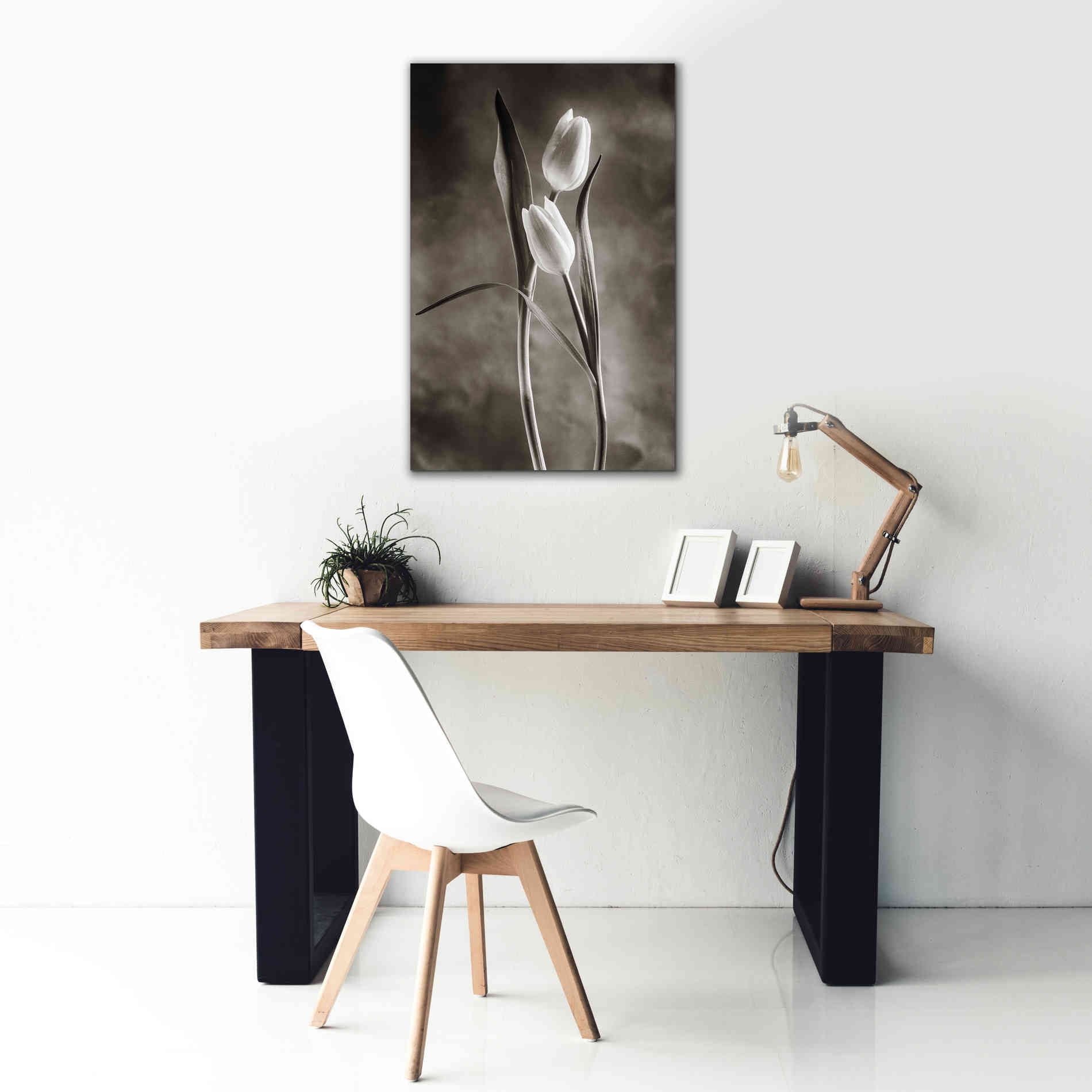 'Two Tone Tulips VI' by Debra Van Swearingen, Canvas Wall Art,26 x 40