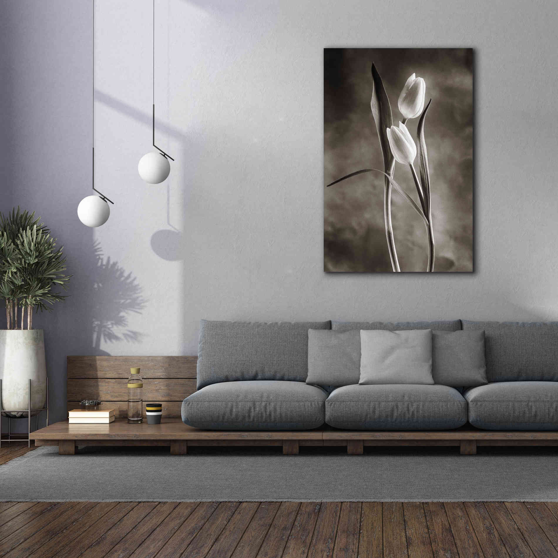 'Two Tone Tulips VI' by Debra Van Swearingen, Canvas Wall Art,40 x 60