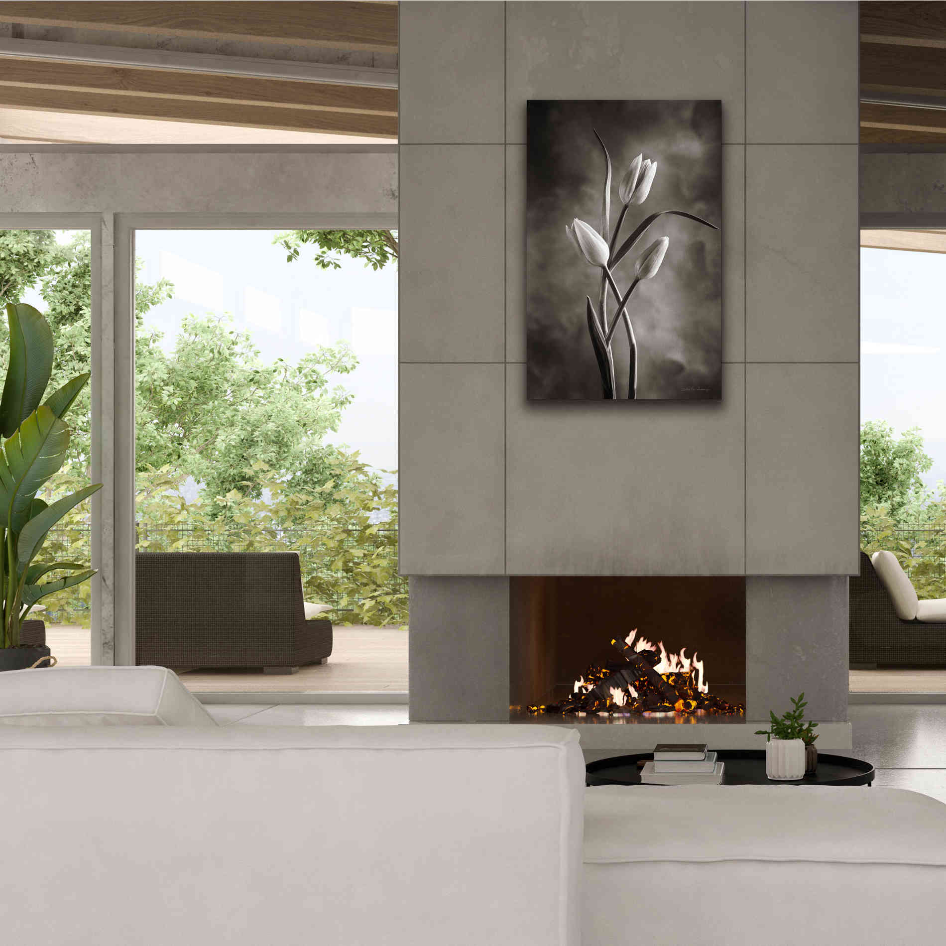 'Two Tone Tulips VII' by Debra Van Swearingen, Canvas Wall Art,26 x 40