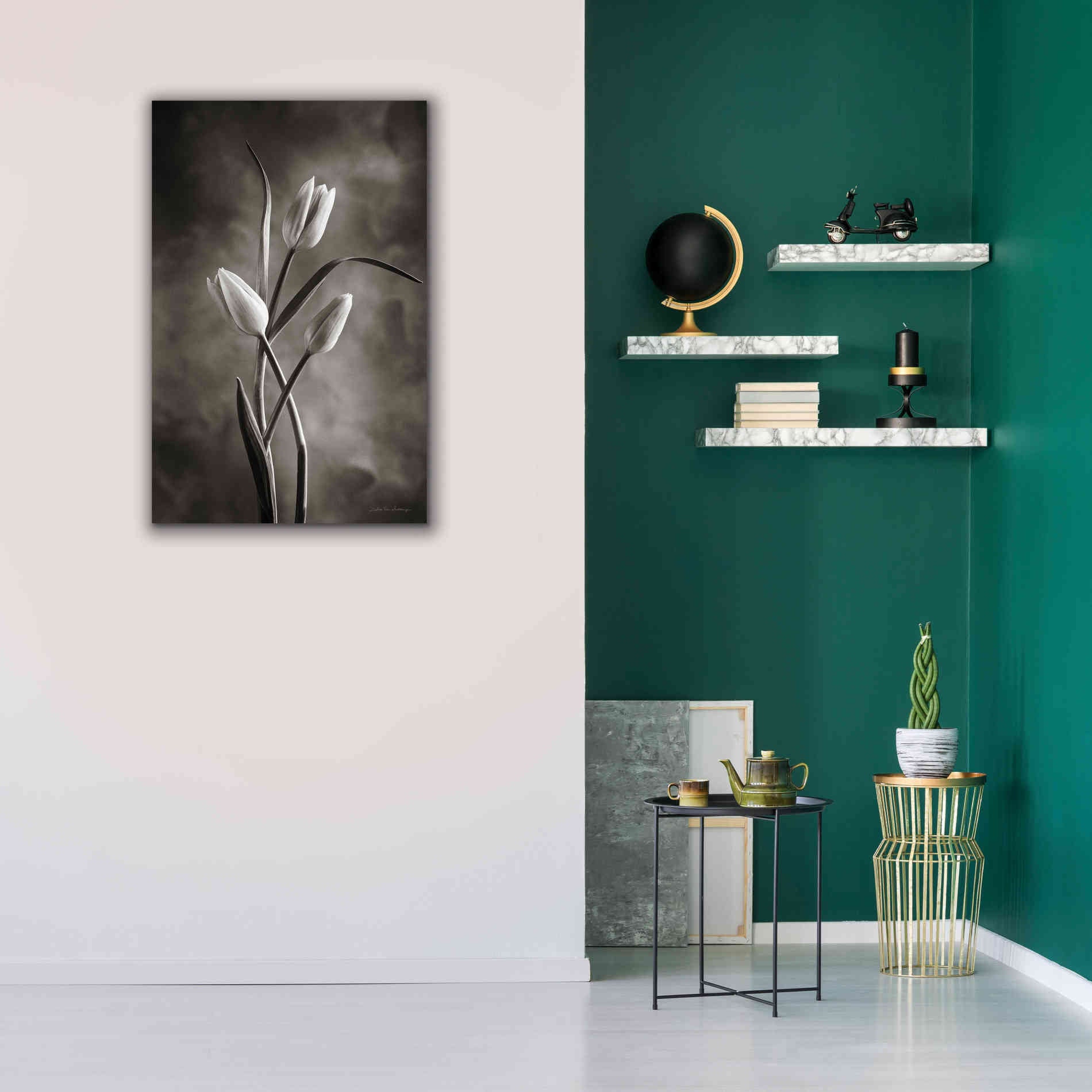 'Two Tone Tulips VII' by Debra Van Swearingen, Canvas Wall Art,26 x 40