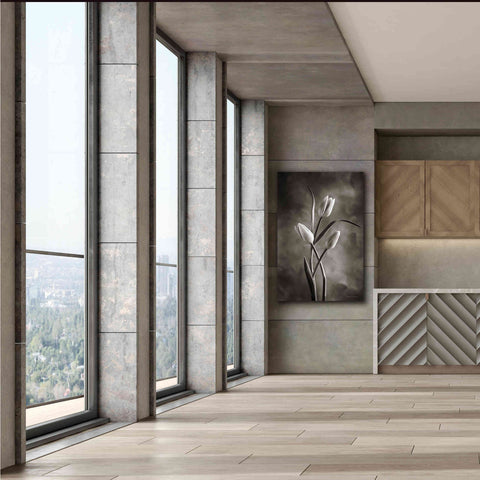 Image of 'Two Tone Tulips VII' by Debra Van Swearingen, Canvas Wall Art,40 x 60