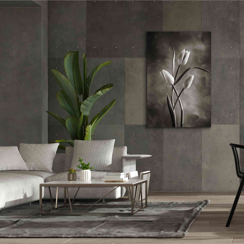 Image of 'Two Tone Tulips VII' by Debra Van Swearingen, Canvas Wall Art,40 x 60