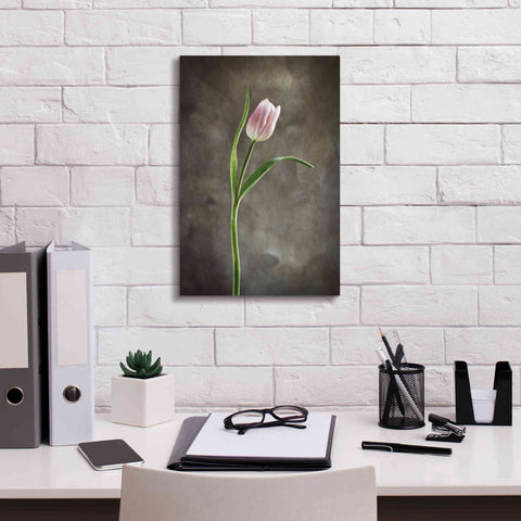 Image of 'Spring Tulips I' by Debra Van Swearingen, Canvas Wall Art,12 x 18