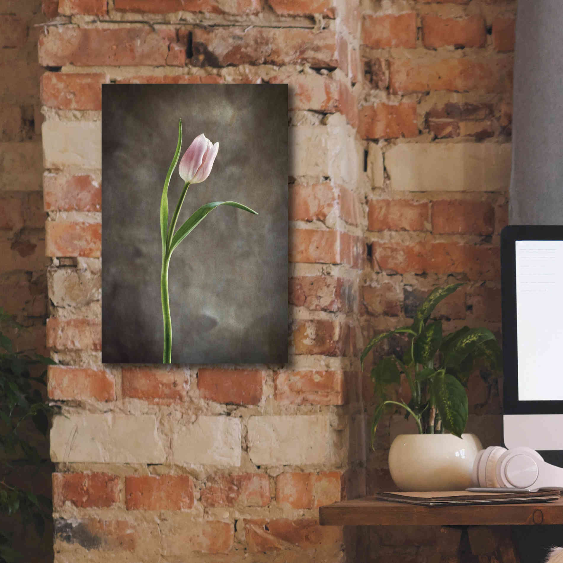 'Spring Tulips I' by Debra Van Swearingen, Canvas Wall Art,12 x 18