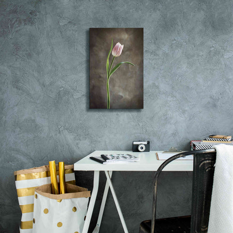 Image of 'Spring Tulips I' by Debra Van Swearingen, Canvas Wall Art,12 x 18