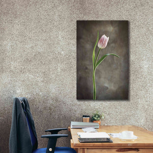 'Spring Tulips I' by Debra Van Swearingen, Canvas Wall Art,26 x 40