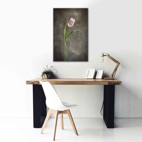 Image of 'Spring Tulips I' by Debra Van Swearingen, Canvas Wall Art,26 x 40